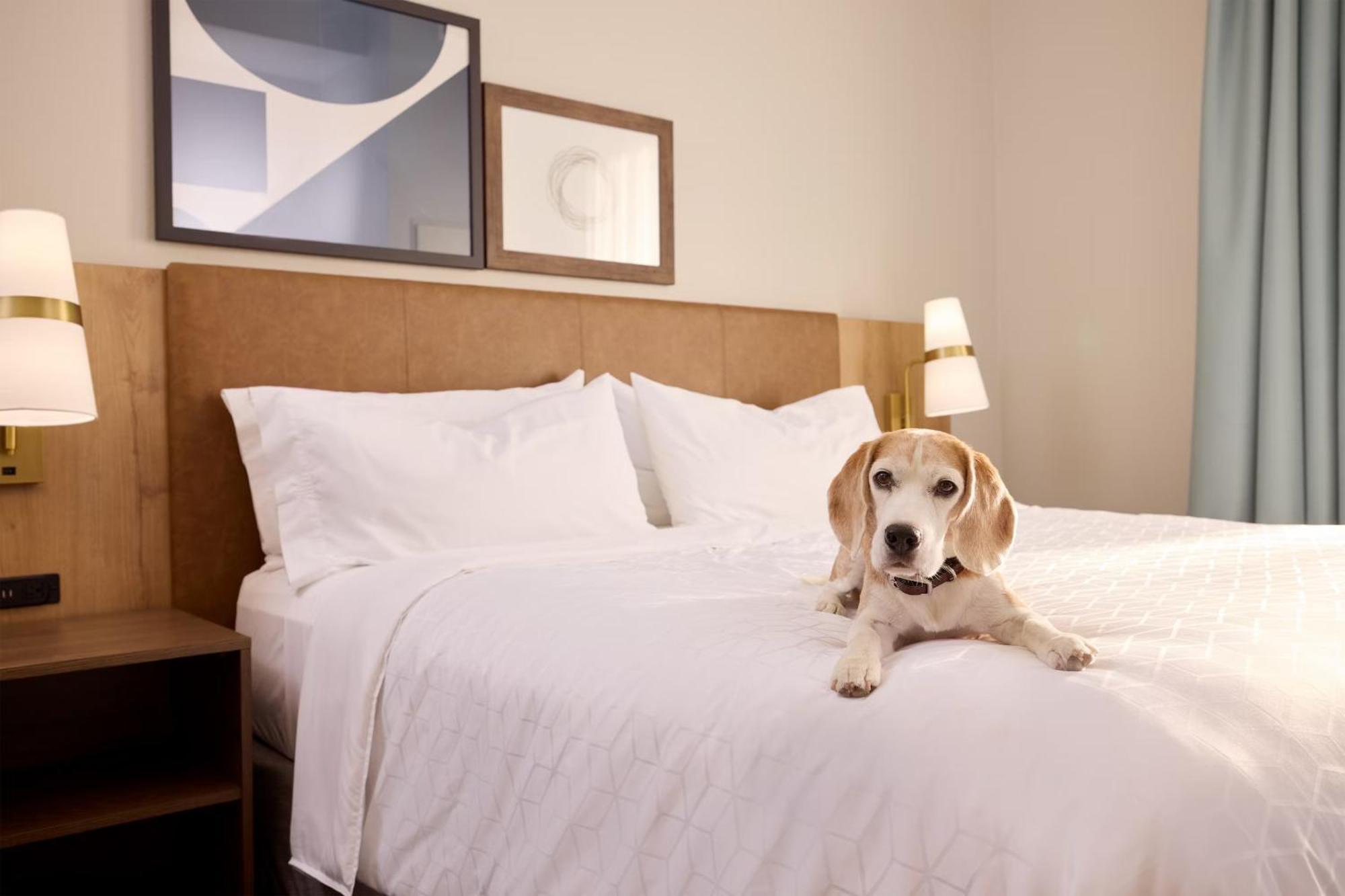 Staybridge Suites Omaha 80Th And Dodge By Ihg Εξωτερικό φωτογραφία